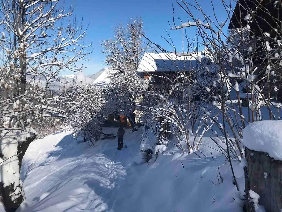 Holiday home Le Chalet Du Bas Villa Les Allues